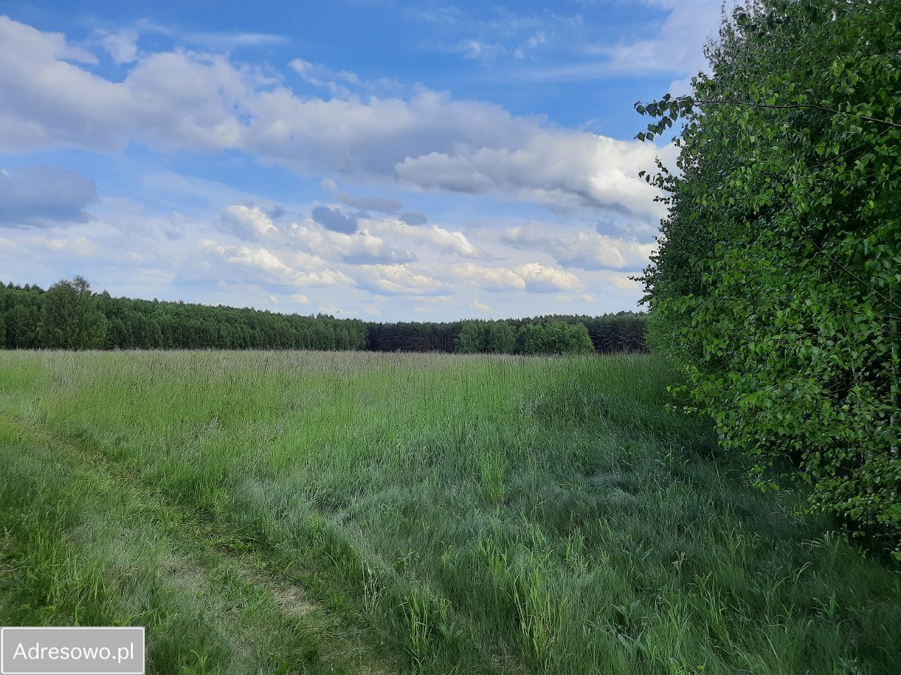 Działka rolna Suchowola. Zdjęcie 6