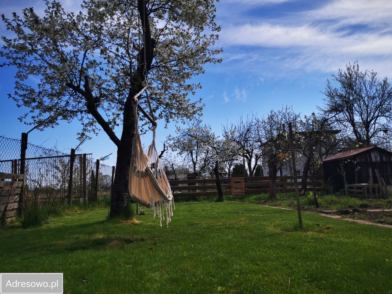 Działka rod Wrocław Psie Pole, ul. Kątowa. Zdjęcie 11