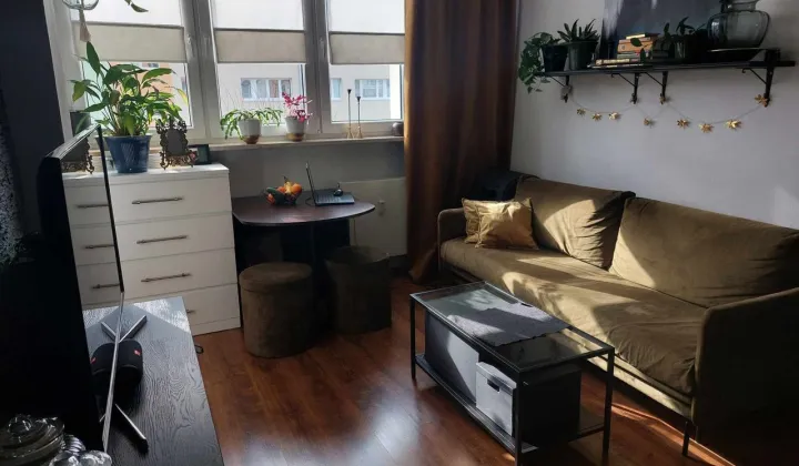 Mieszkanie 2-pokojowe Katowice, ul. Pawła Edmunda Strzeleckiego