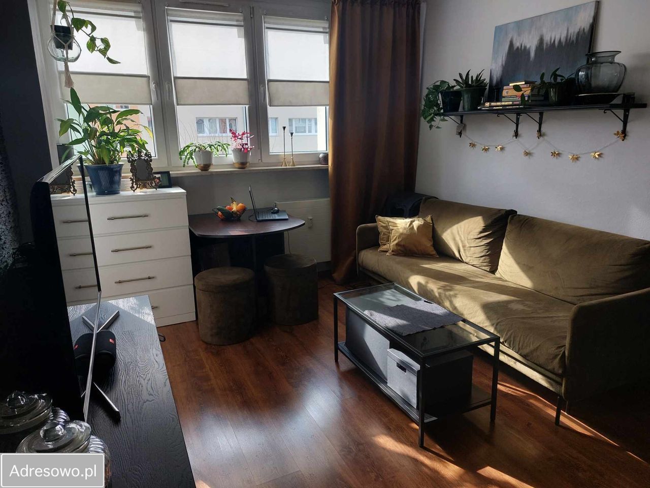 Mieszkanie 2-pokojowe Katowice