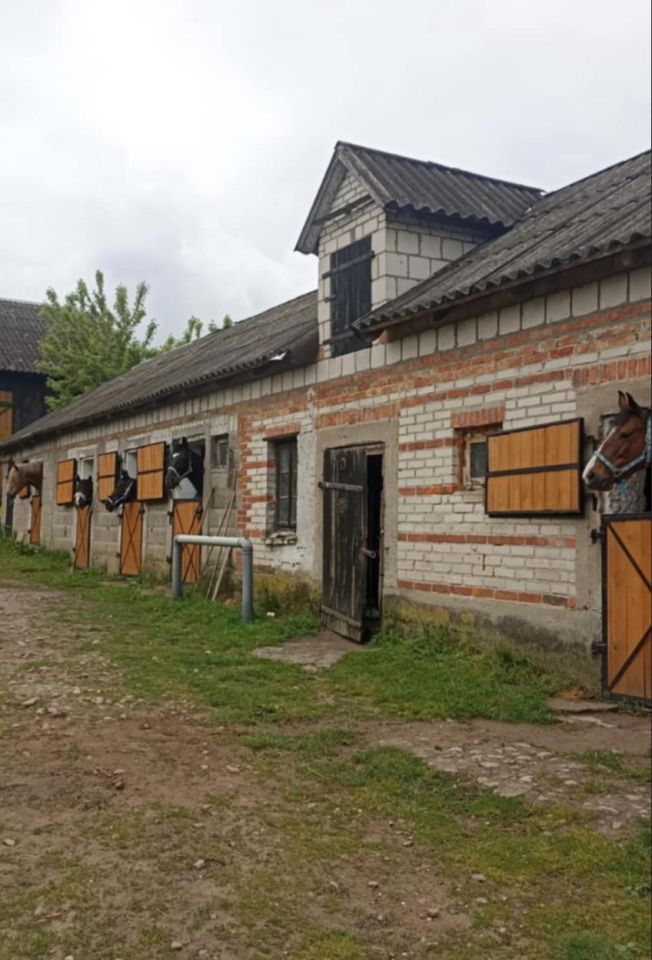 siedlisko, 6 pokoi Zambski Kościelne. Zdjęcie 6