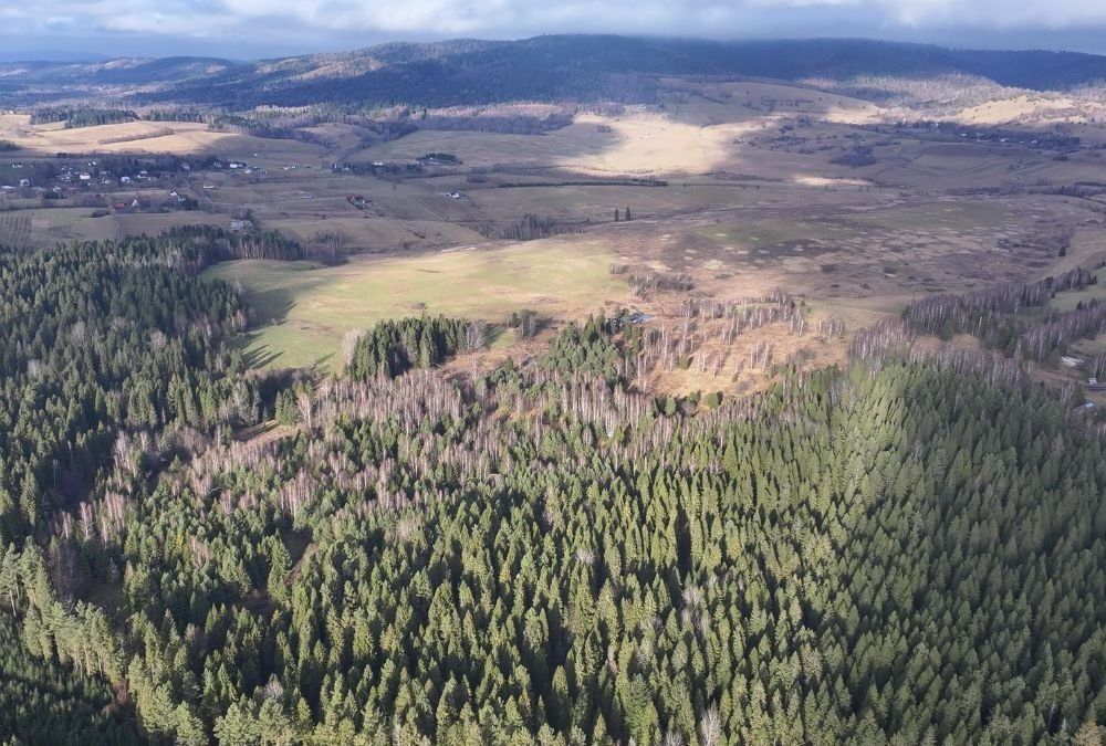 Działka rolna Czarna. Zdjęcie 12