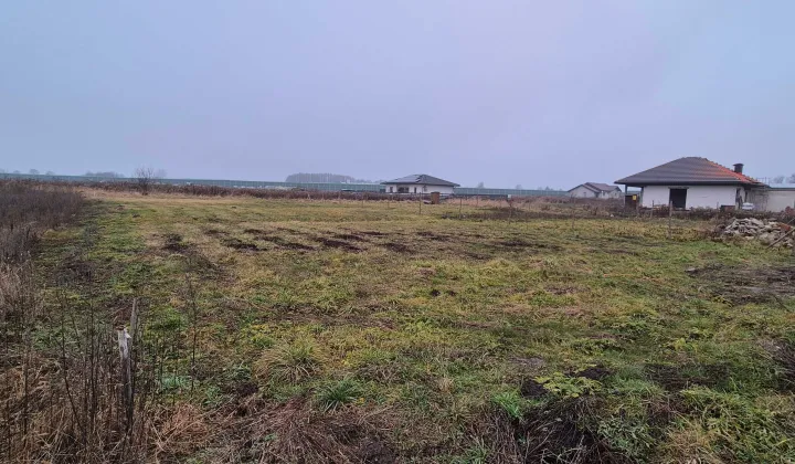 Działka budowlana Piątkowisko