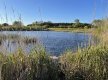 Działka budowlana Korzeniewo, ul. Malownicza. Zdjęcie 1