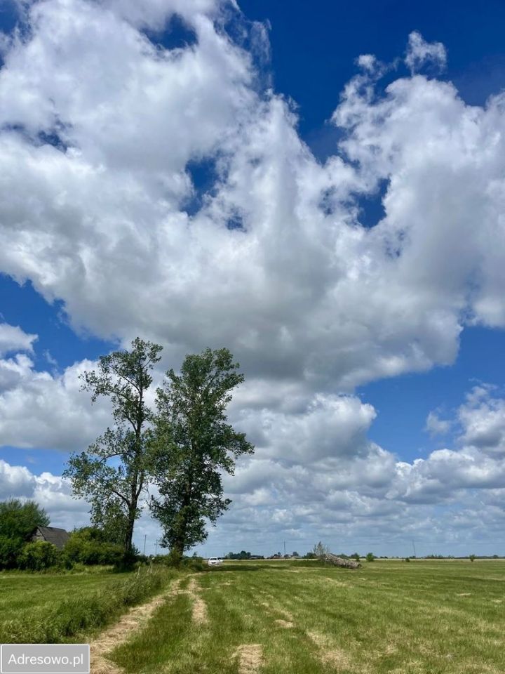 Działka siedliskowa Stegna. Zdjęcie 2