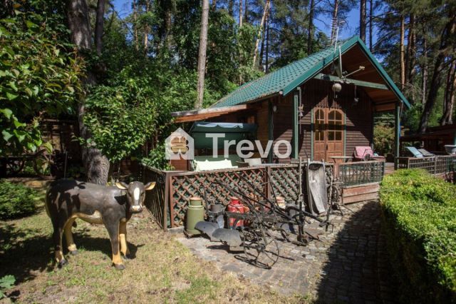 dom wolnostojący, 4 pokoje Borkowo. Zdjęcie 12