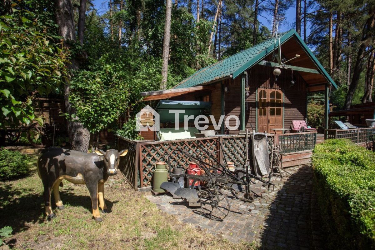 dom wolnostojący, 4 pokoje Borkowo. Zdjęcie 12