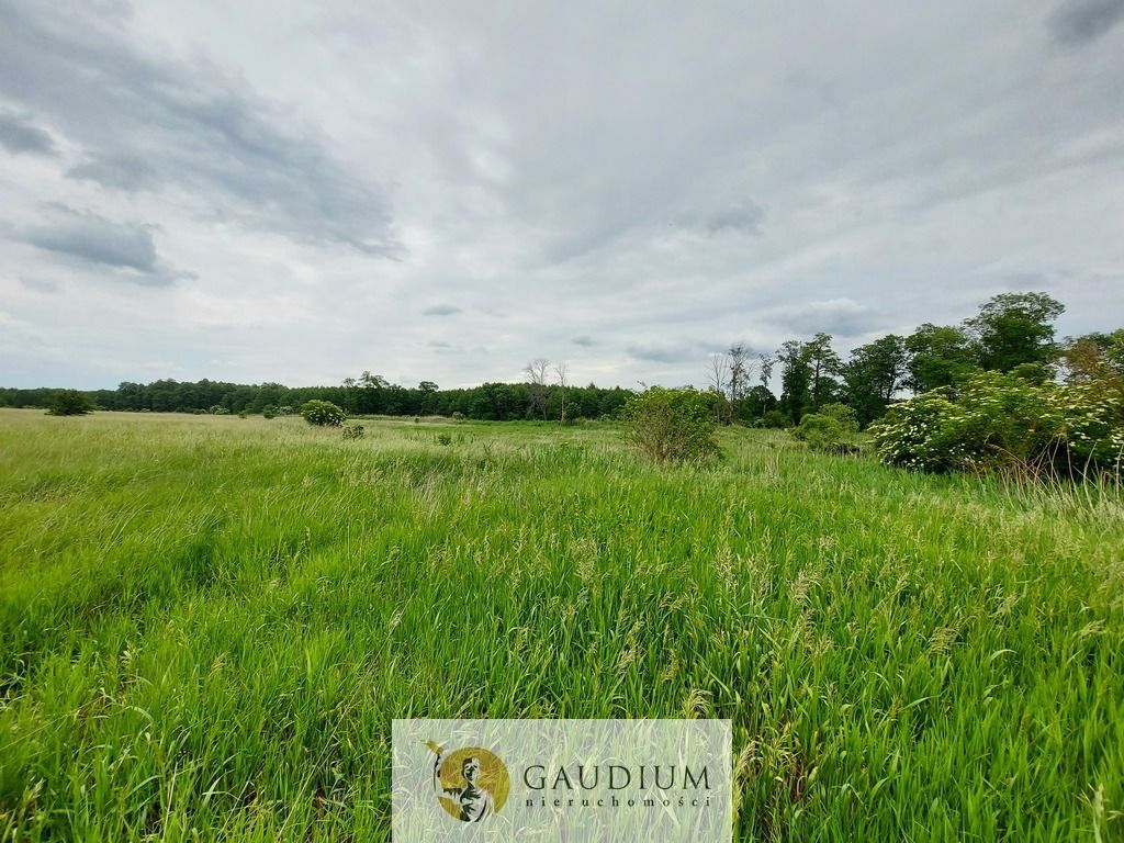 Działka Karszyn. Zdjęcie 9