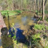 Działka rolno-budowlana Golce. Zdjęcie 1
