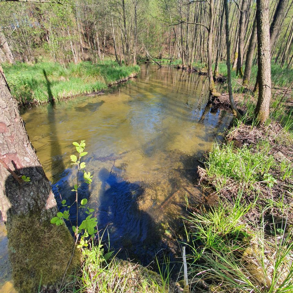 Działka rolno-budowlana Golce. Zdjęcie 1