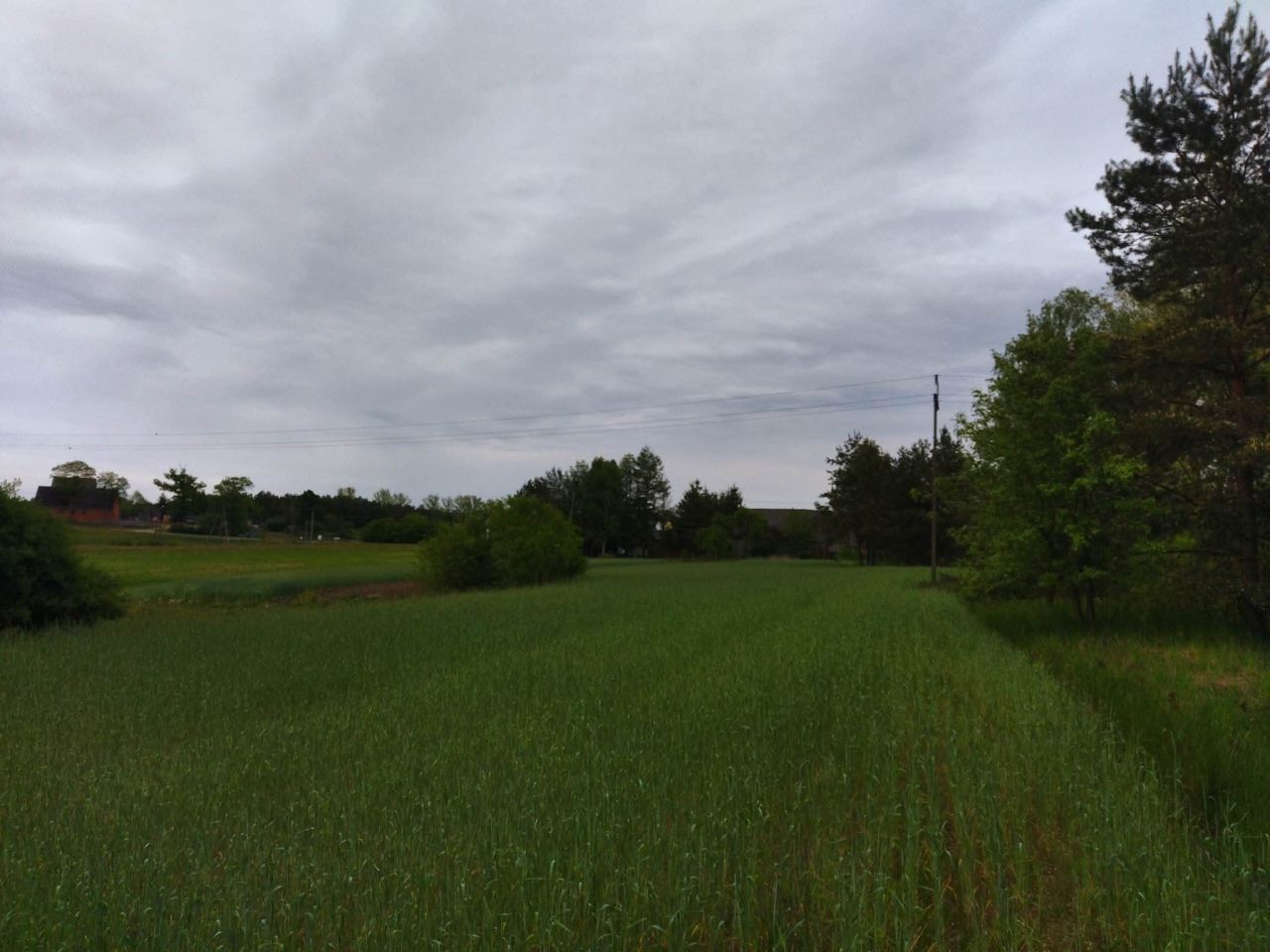 Działka budowlana Świerczyna. Zdjęcie 9