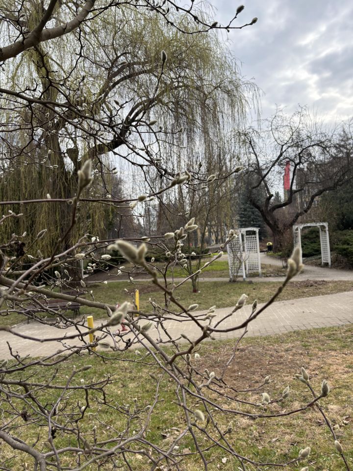 Mieszkanie 3-pokojowe Lublin LSM. Zdjęcie 8