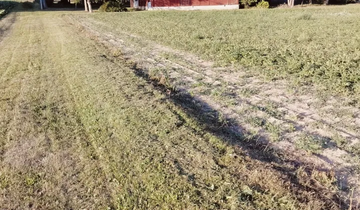 siedlisko, 2 pokoje Mościska-Kolonia