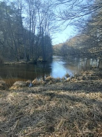 Działka rekreacyjna Niedalino. Zdjęcie 1