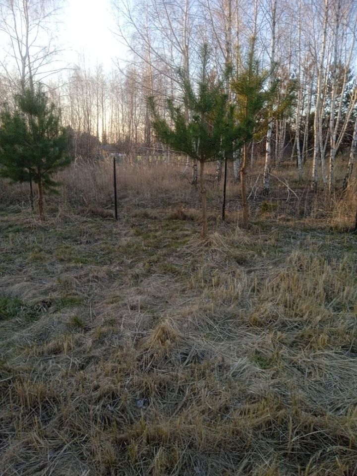 Działka budowlana Długie. Zdjęcie 2