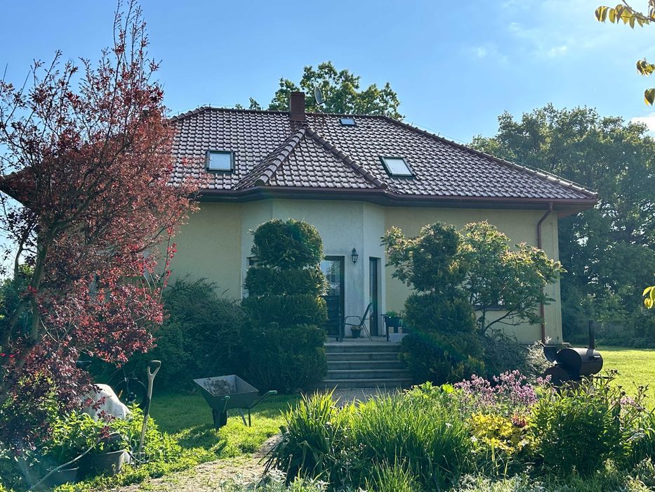 siedlisko, 5 pokoi Strzegom. Zdjęcie 3