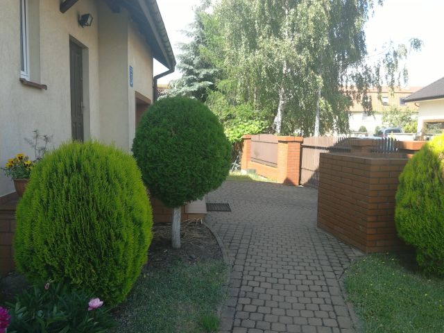 Pokój Olsztyn Pozorty, ul. prof. Kazimierza Markiewicza. Zdjęcie 1