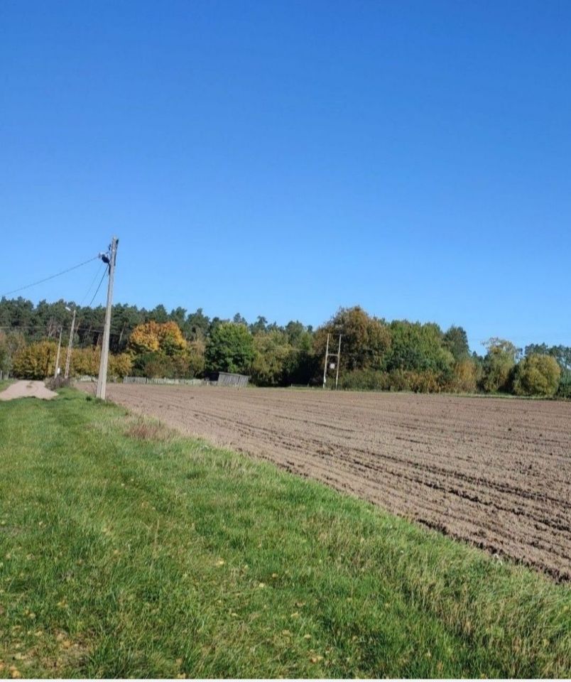 Działka Szczypiornia. Zdjęcie 5