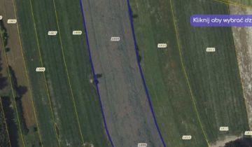 Działka rolno-budowlana Nasielsk, ul. Warszawska