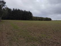 Działka rolna Komorzewo. Zdjęcie 2