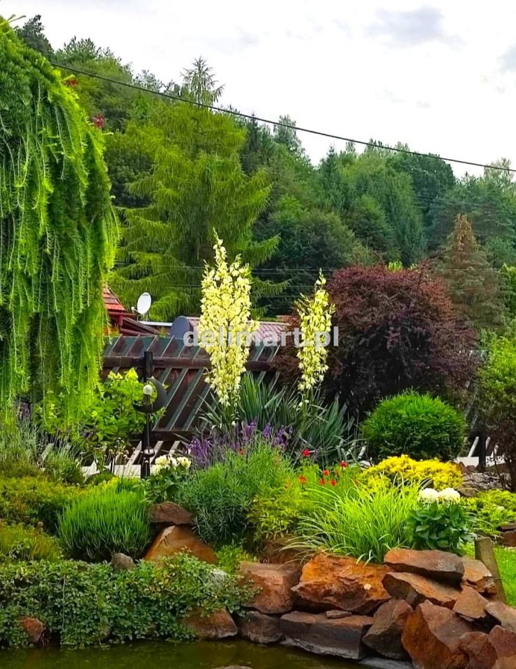 dom wolnostojący, 3 pokoje Zagórz, ul. Szeroka. Zdjęcie 29