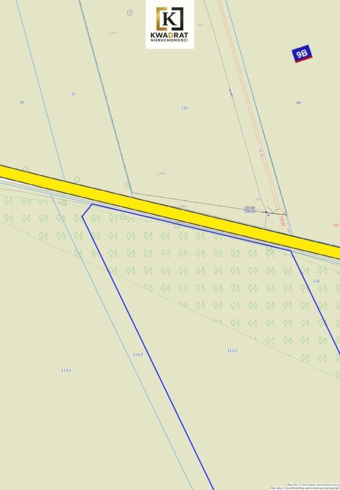 Działka Cezarów. Zdjęcie 2