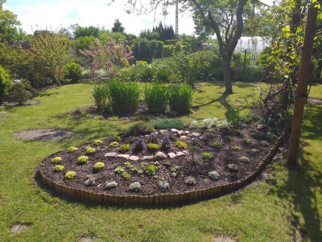 Działka rekreacyjna Stargard, ul. Spokojna. Zdjęcie 1