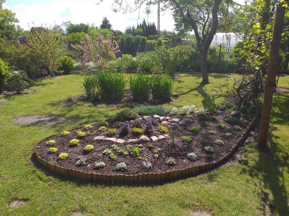 Działka rekreacyjna Stargard, ul. Spokojna. Zdjęcie 1