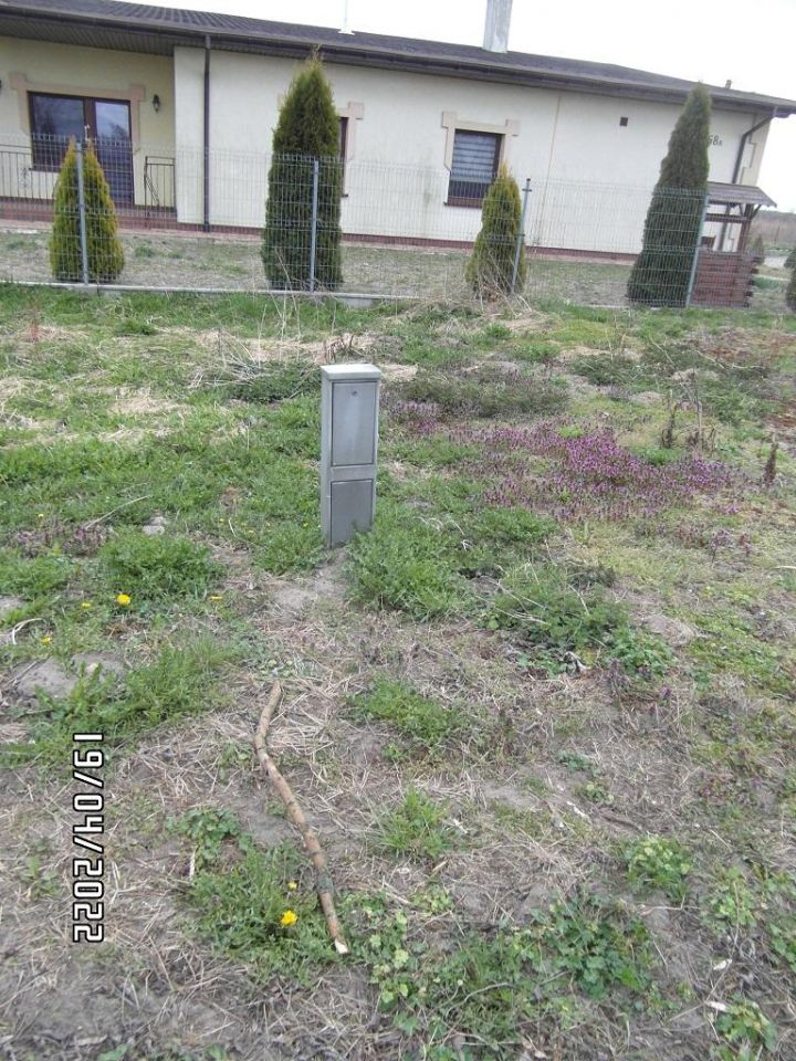 Działka rolno-budowlana Niedrzew Drugi. Zdjęcie 13