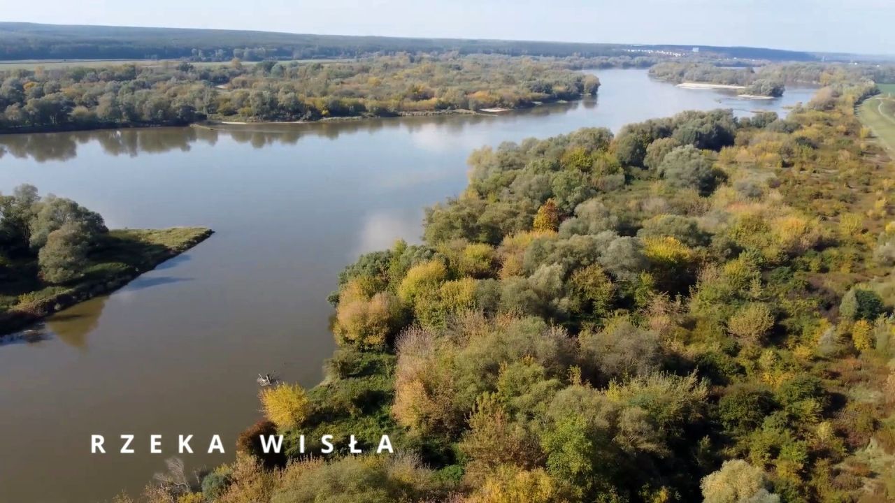 Działka rolno-budowlana Puławy Włostowice, ul. Włostowicka. Zdjęcie 11