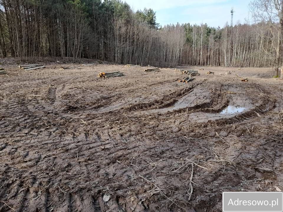 Działka budowlana Graniczna Wieś. Zdjęcie 2