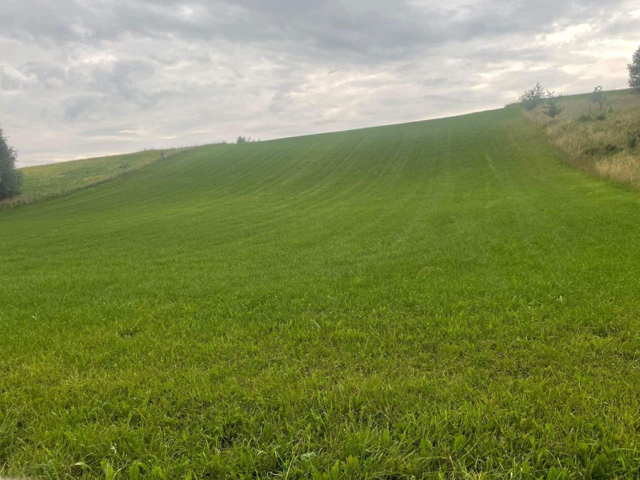 Działka rolna Brodnica Górna, ul. Kamienna