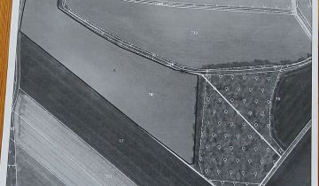 Działka rolna Domasław