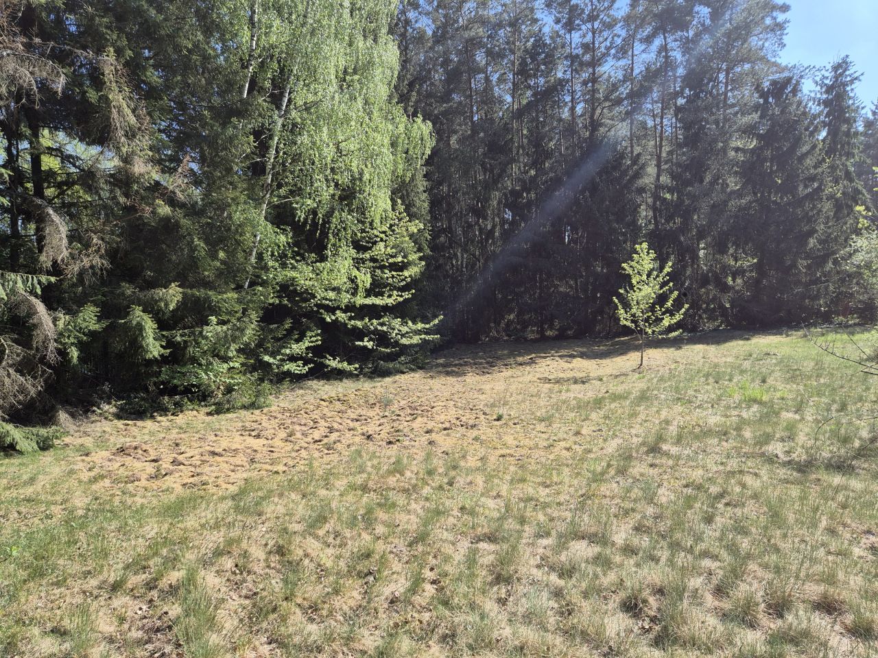 Działka rolno-budowlana Adamów-Wieś, Kwiat Paproci. Zdjęcie 4