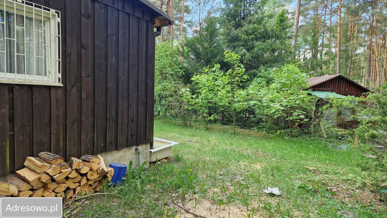 Działka leśna Rokitnica, ul. Gucińska. Zdjęcie 6