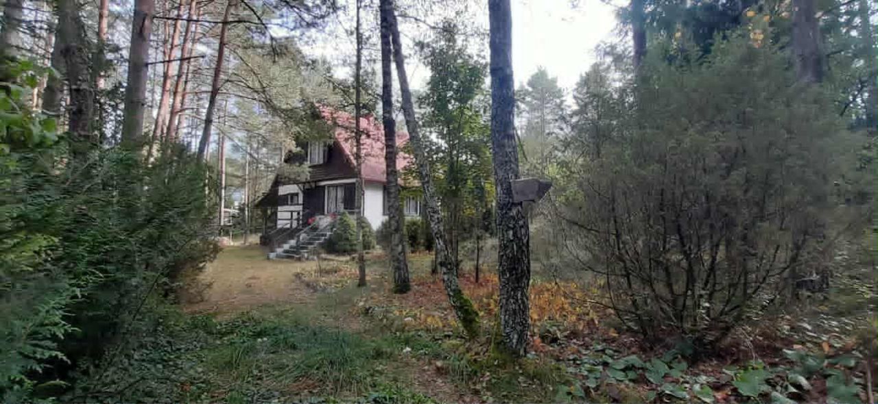 Działka siedliskowa Olpuch. Zdjęcie 20