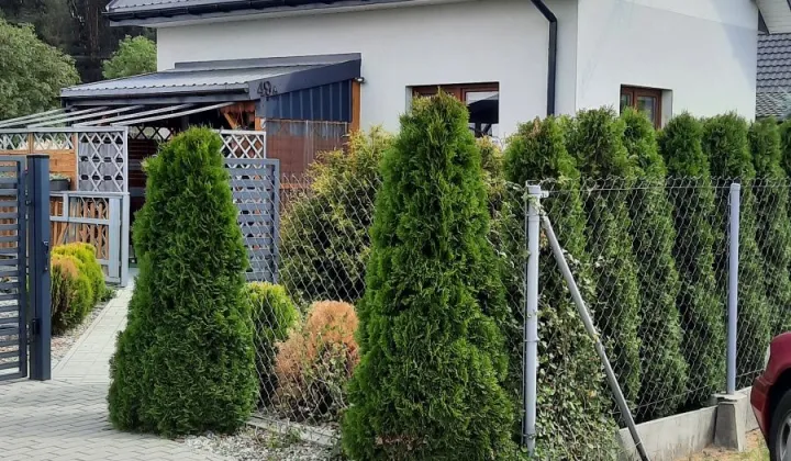dom wolnostojący Ciechocinek