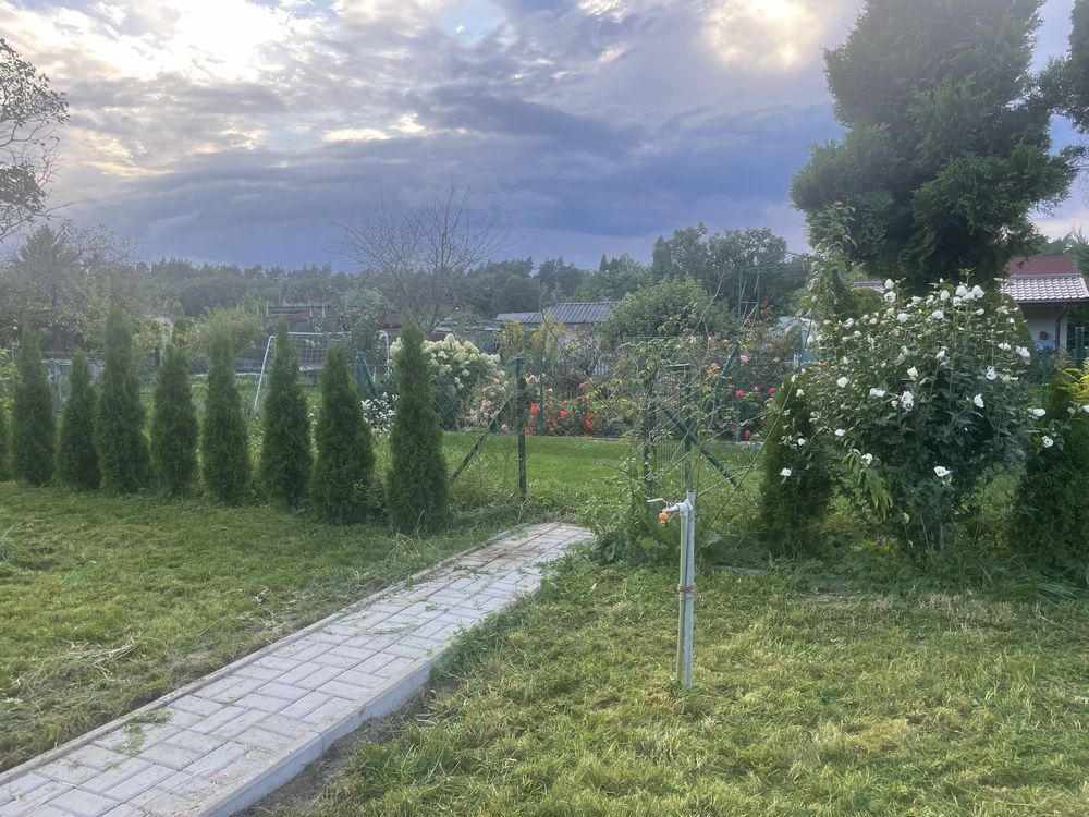 Działka rod Grudziądz, ul. Miłoleśna. Zdjęcie 3