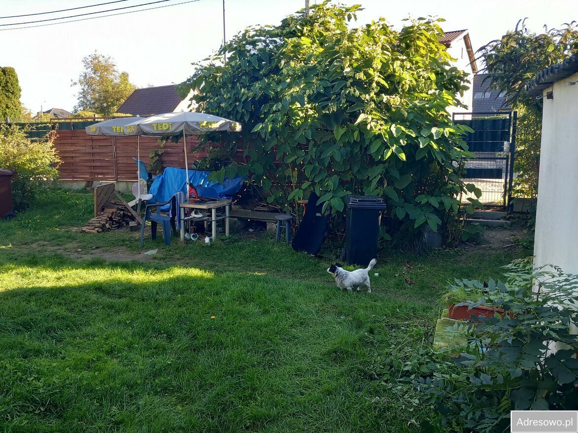 Działka budowlana Bielkówko. Zdjęcie 6