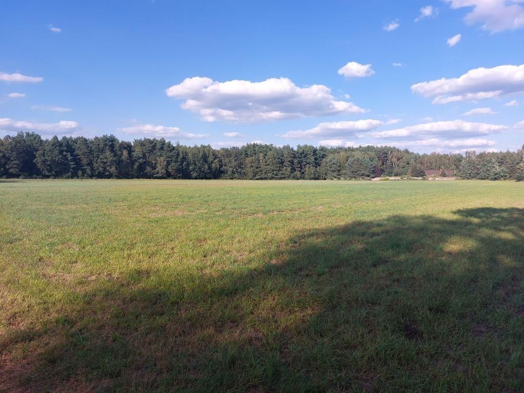 Działka rolno-budowlana Zamęty. Zdjęcie 11