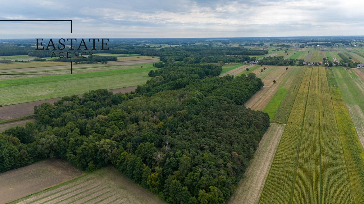 Działka budowlana Gągolin Północny. Zdjęcie 11