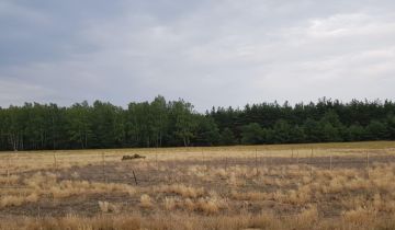 Działka budowlana Kuźnica Skakawska, ul. Kasztanowa