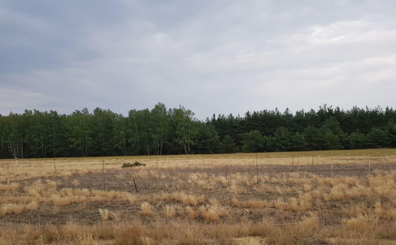 Działka budowlana Kuźnica Skakawska, ul. Kasztanowa