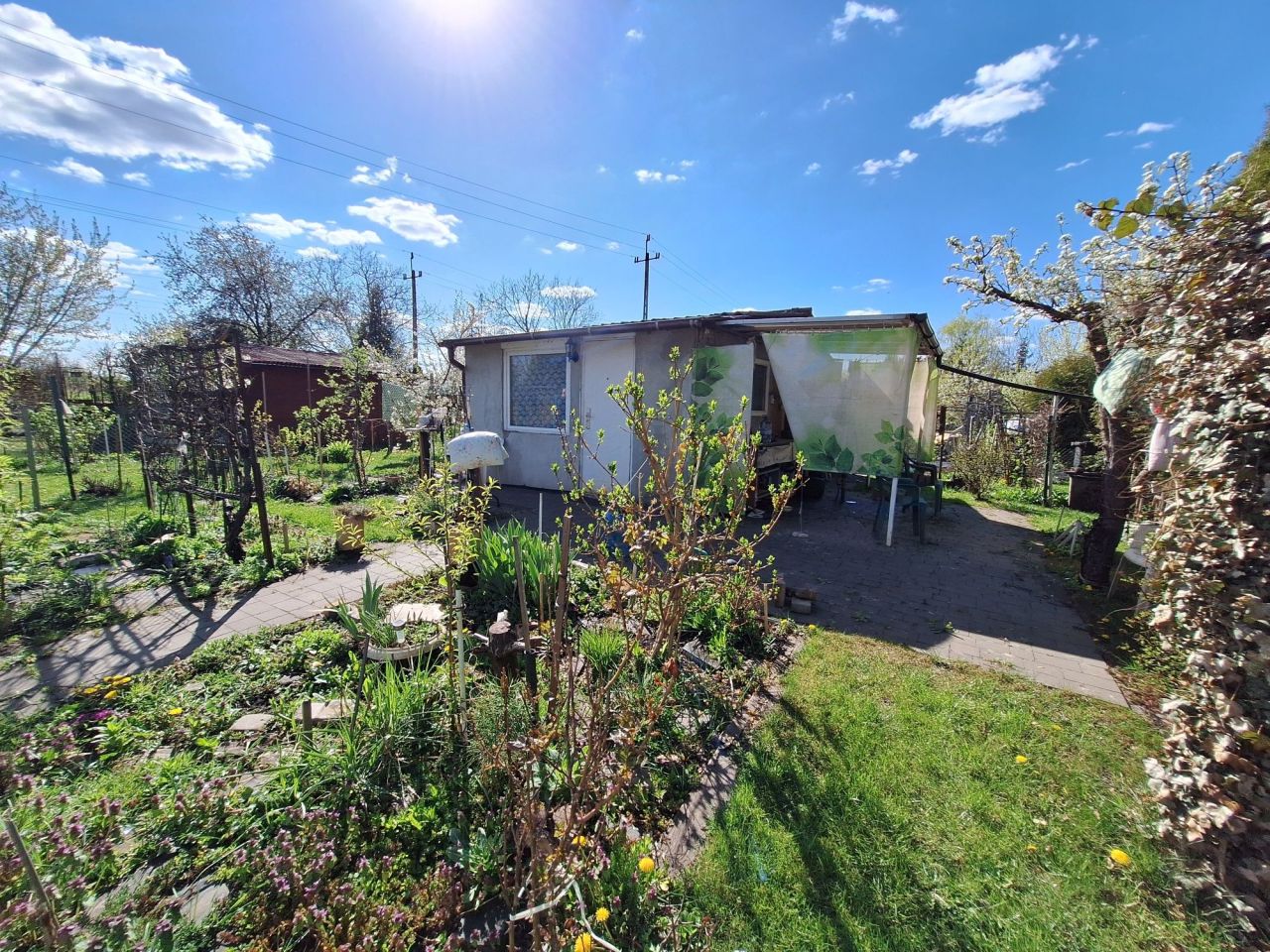 Działka rod Pruszków. Zdjęcie 2