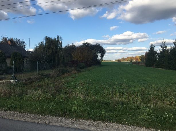 Działka rolno-budowlana Pokrzywna. Zdjęcie 3