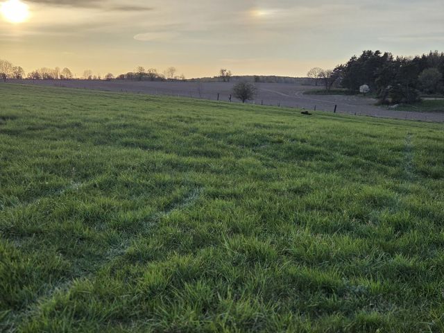 Działka rolno-budowlana Lemany. Zdjęcie 1