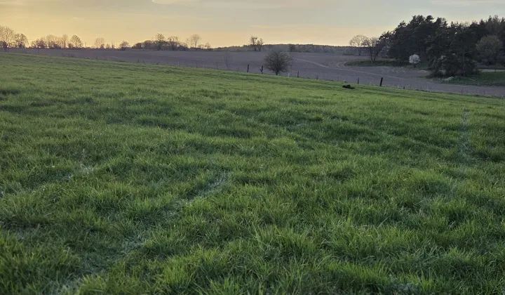 Działka rolno-budowlana Lemany