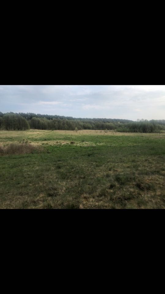 Działka rolna Wieck. Zdjęcie 4