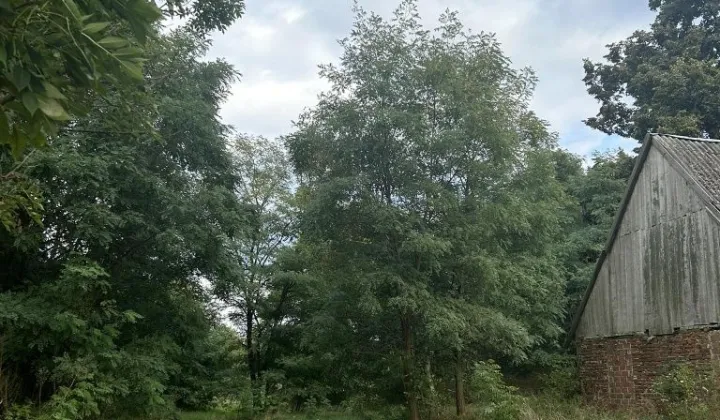 Działka rolna Cicha Góra