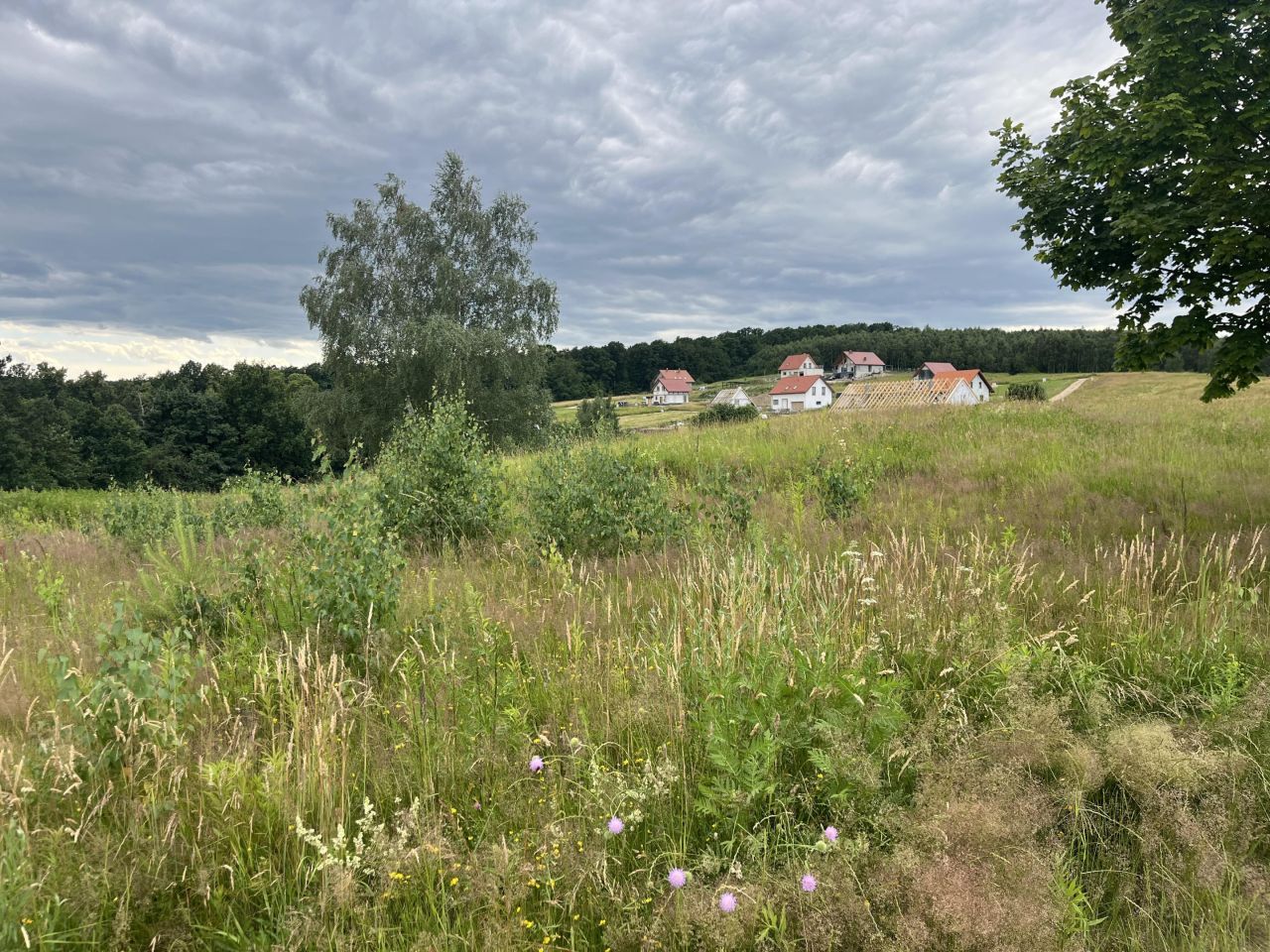 Działka budowlana Świebodzice, ul. Zimny Dwór. Zdjęcie 3